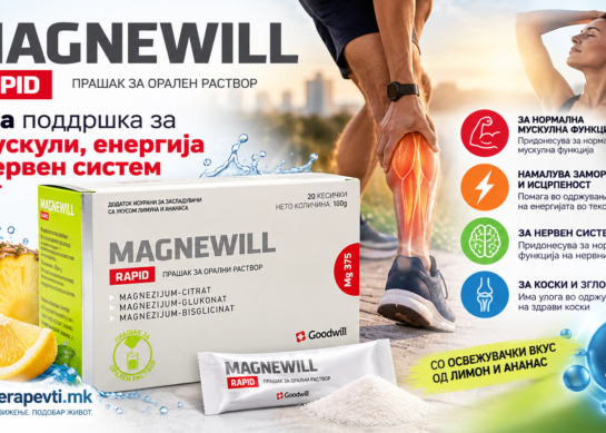 MAGNEWILL RAPID – Магнезиум за мускулите, енергијата и нервниот систем
