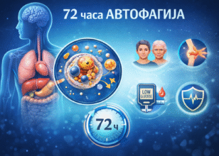 72 часа автофагија – што се случува во организмот и кои се клиничките аспекти